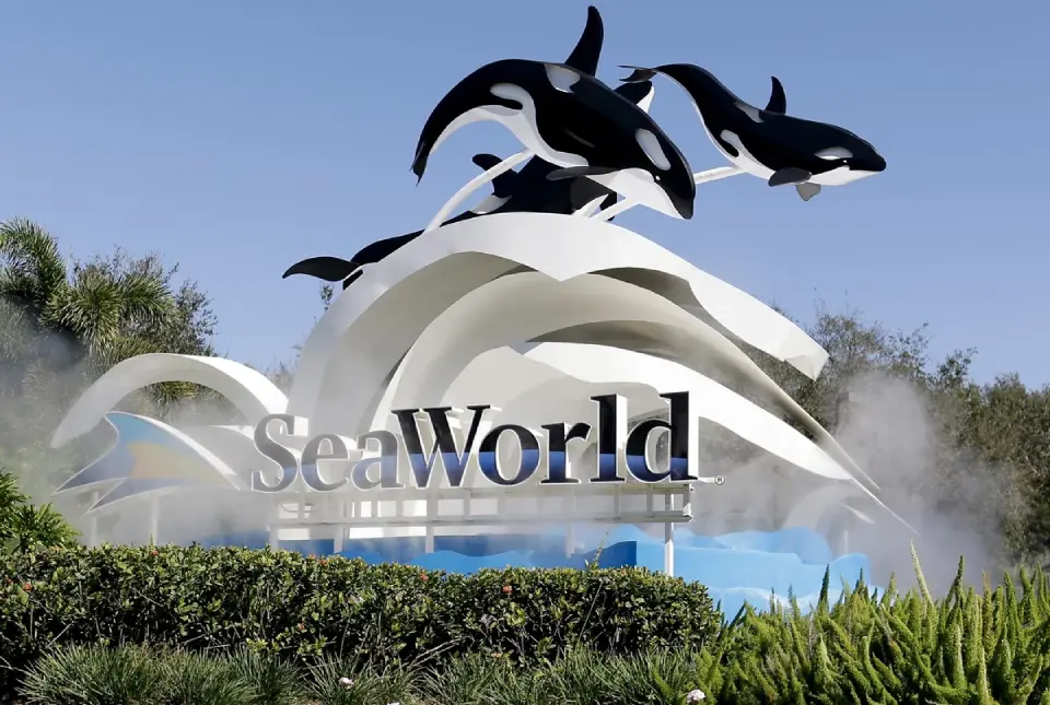transportation from MCO airport to SeaWorld