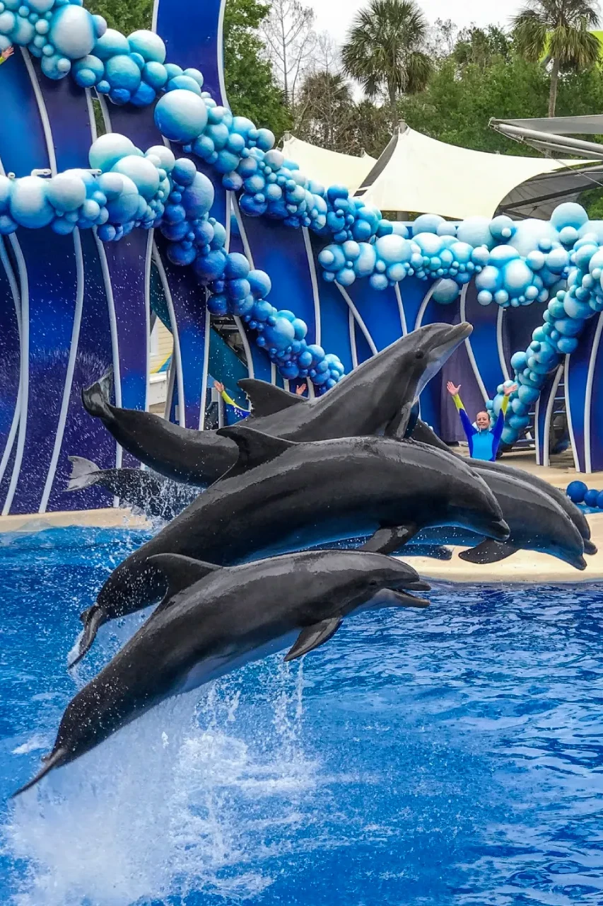 transportation from orlando international airport to SeaWorld